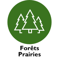 Forêts Prairies