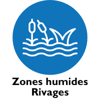 Zones humides Rivages